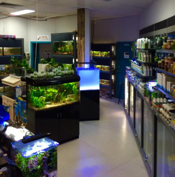 Lots Of Fins Aquarium
