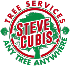 Steve Cubis