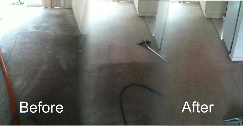 Xtreme Carpet Cleaning
