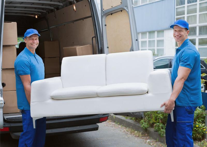 Frog and Dog Furniture Removals
