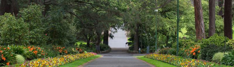 Melbourne Centre for Mindfulness