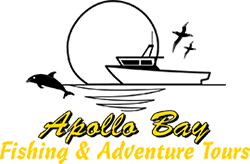 Apollo Bay Fishing & Adventure Tours logo