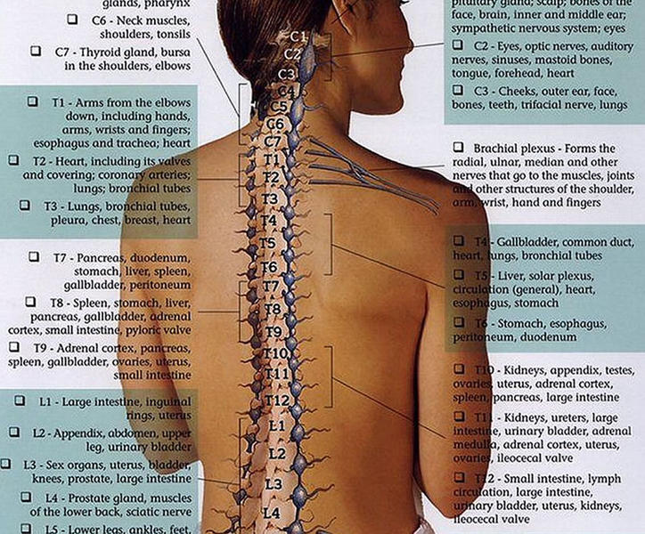 Dr Luke Raggio Chiropractic