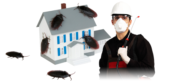 Female Choice Pest Control