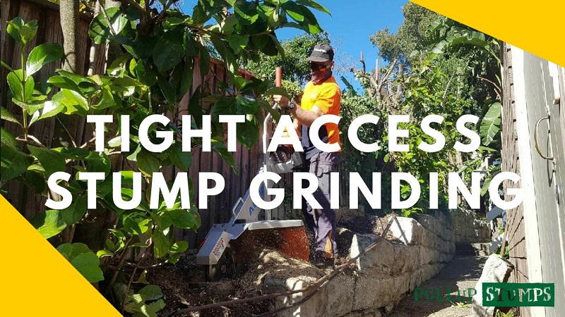 Pullup Stumps