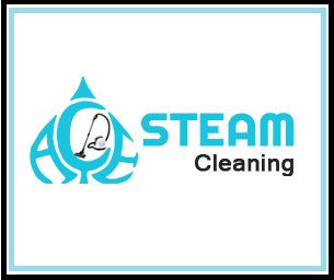 Ace Steam Cleaning logo