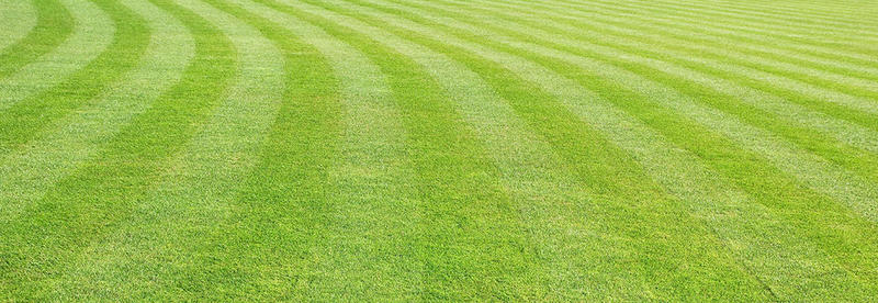 Neil Valentine Mowing & Slashing