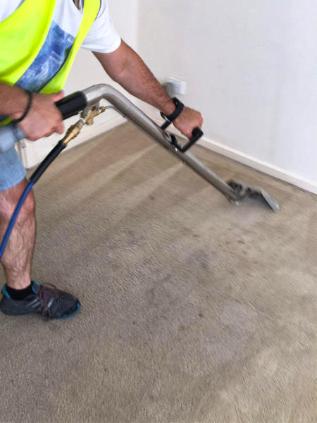 Like Clean Services Group: Payneham