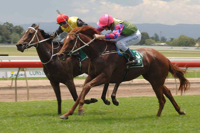 Regal Bloodstock