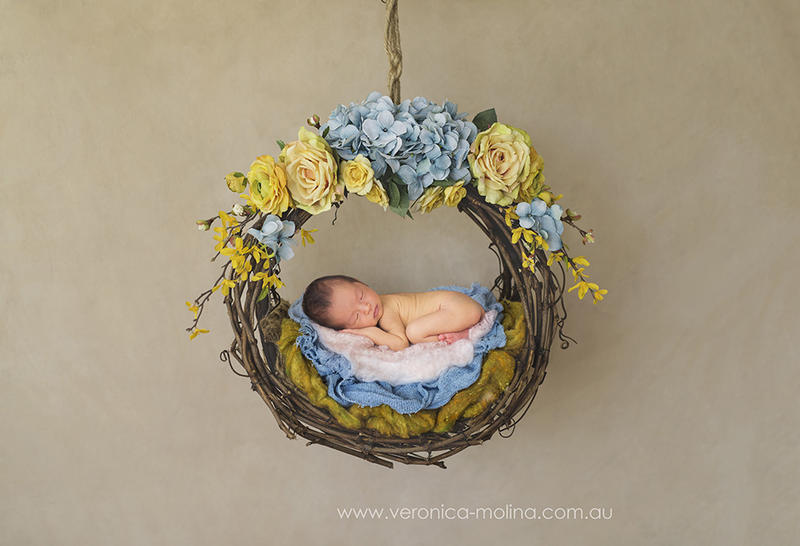 Veronica Molina Photography