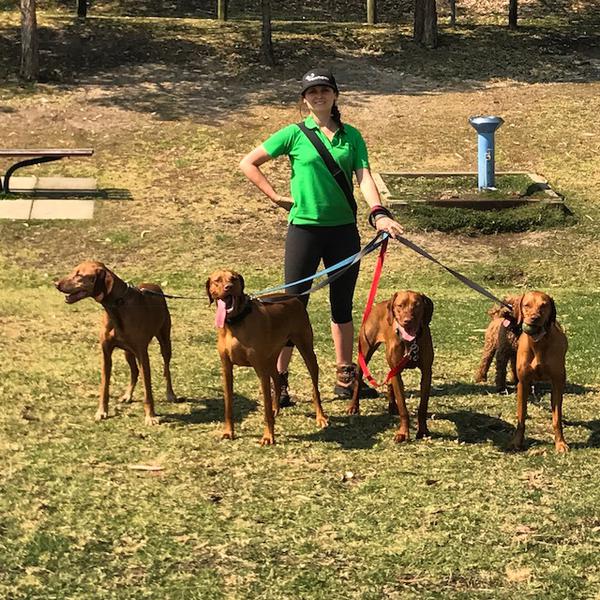 Wooftales