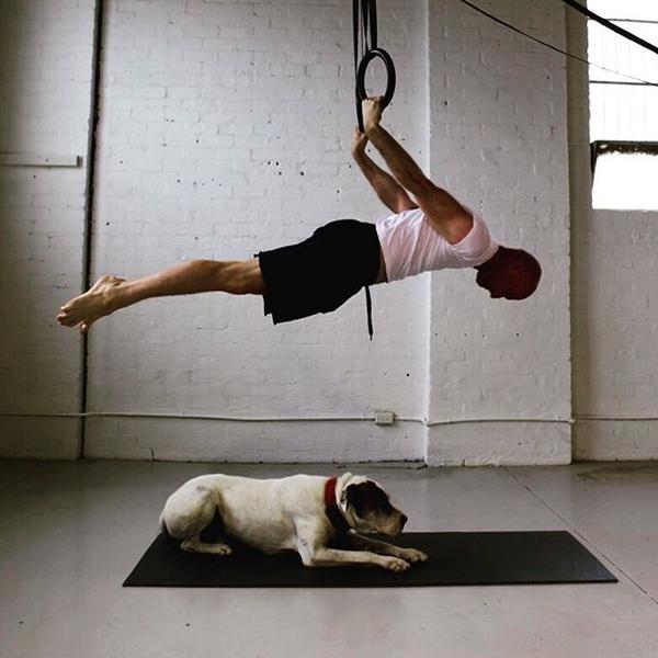 White Dog Studio