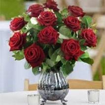 Coffs Harbour Florist