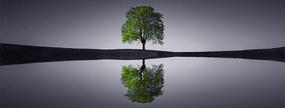 Business Insurance Broker Aust Pty Ltd