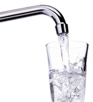 Freshly Squeezed Water Co