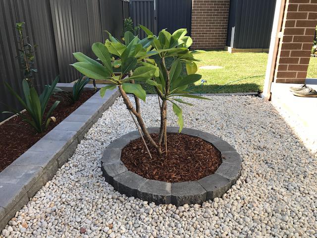 Absolute Green Life Gardening: Asquith