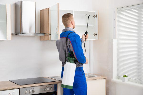 Mr Pest Controller: Adelaide