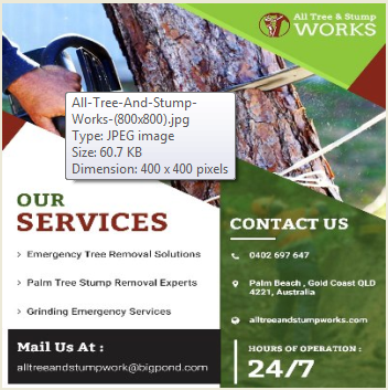 All Tree & Stump Works