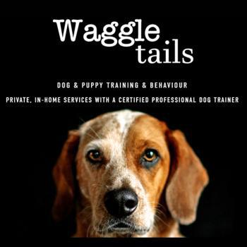 WaggleTails