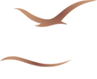 inTouch Massage Chairs