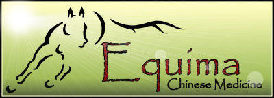 Equima logo