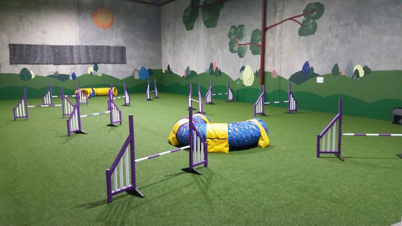 Kalmpets Animal Behaviour Centre