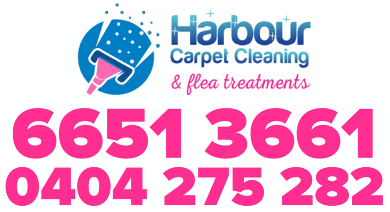 Harbour Carpet Cleaning & Flea Treatments