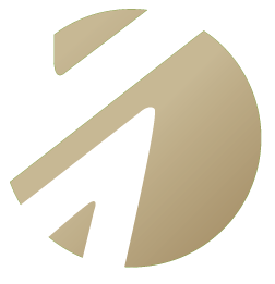 Venture Advisory Consulting