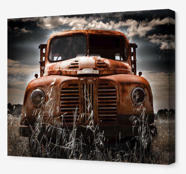 David Wilkins Photography