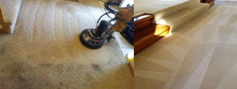 Zenith Cleaning Services: Brisbane