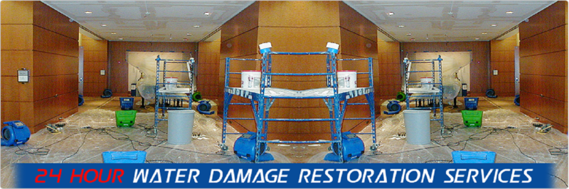 Squeaky Clean Carpet Restoration