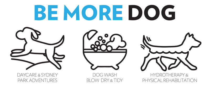 Be More Dog