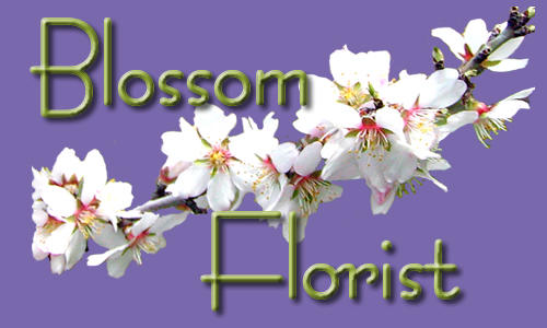 Blossom Florist