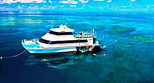 Reef Experience 