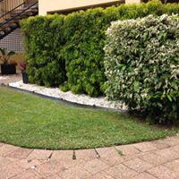 James Lawn And Garden Care: Gordonvale