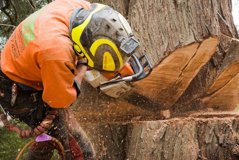 Tree Access Pty Ltd