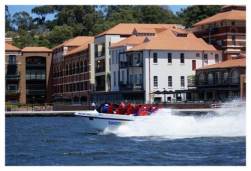 Swan Jet