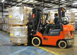 Sydney Labour Hire