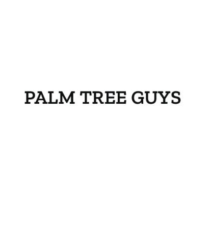 Palm Tree Guys