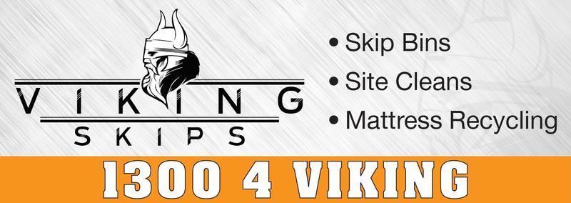 Viking Skips