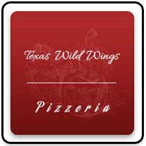 Texas Wild Wings logo
