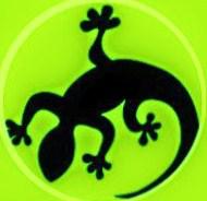 Gecko Property Services