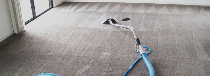 Fresh Carpet Cleaning: Adelaide
