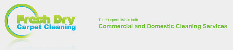 Fresh Dry Carpet Cleaning