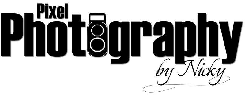 Pixel Photography and Design