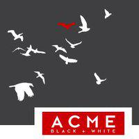 Acme Et Al