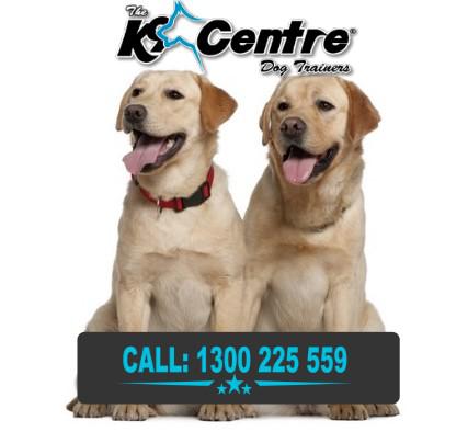 The K9 Centre: Sunshine Coast