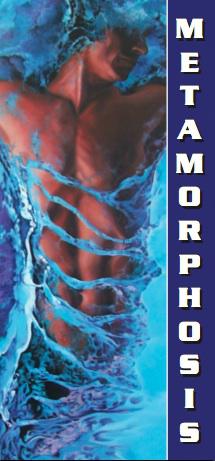 Metamorphosis Art Gallery
