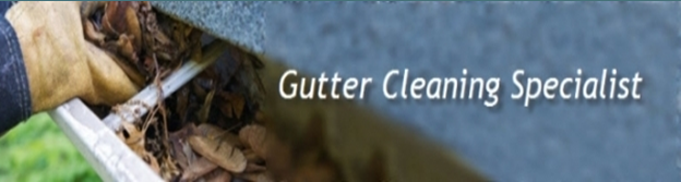 Gutter Cleaning Specialist