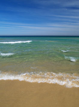 Bondi Rentals